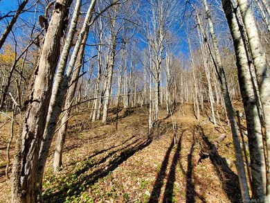 999 Scronce Creek Rd, Cane River, NC 28714 - photo 6