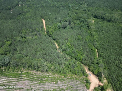 0 Rd, Noxapater, MS 39346 - photo 3