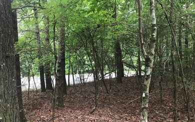 LT541 Tonto Dr, Ellijay, GA 30540 - photo 3