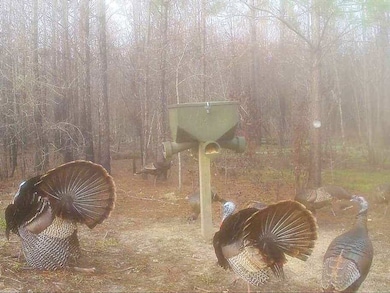 2272 Purvis To Baxterville Rd, Purvis, MS 39455 - photo 2