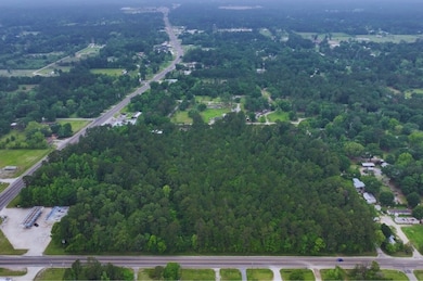 TBD Fm 92 E, Silsbee, TX 77656 - photo 3