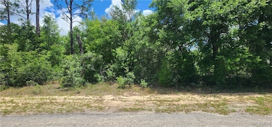 8619 N Dove Orchid Dr, Citrus Springs, FL 34434 - photo 2