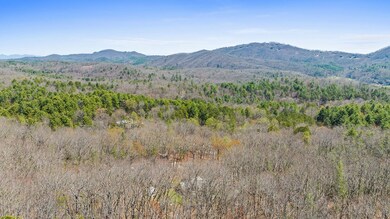 40A Synacia Dr, Mineral Bluff, GA 30559 - photo 4