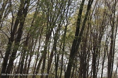 2645 Navigator Ln, Lansing, MI 48911 - photo 3