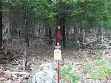 0 Robbins Hill Rd, Chatham, NH 03813 - photo 2