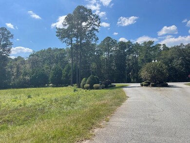 102 Creekwood Cir, Sylvester, GA 31791 - photo 2