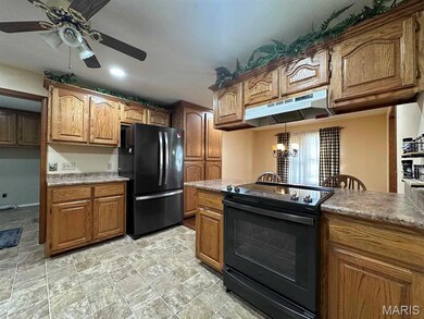 17264 E Cedar Hills Dr, Dexter, MO 63841 - photo 6