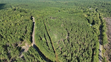 Plesant Rd, Camp Hill, AL 36850 - photo 5