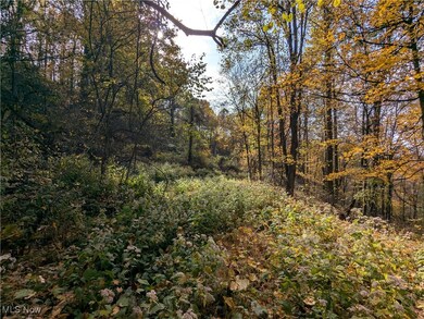 44603 Roy Bower Rd, Sardis, OH 43946 - photo 6