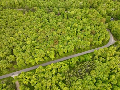 0 Buettner Rd unit 214627, White Lake, WI 54491 - photo 6