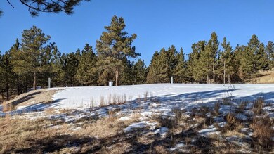 26867 Stage Stop Rd unit Canyon Rim Ranch Pro, Crazy Horse, SD 57730 - photo 5