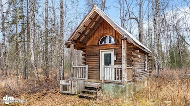 26986 S Talkeetna Spur Rd, Talkeetna, AK 99676 - photo 4