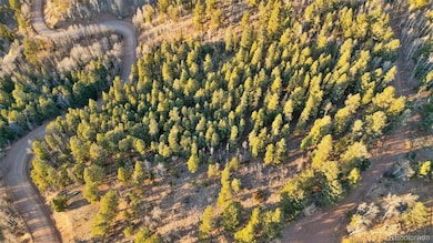 1289 Yorktown Rd, Cripple Creek, CO 80813 - photo 7