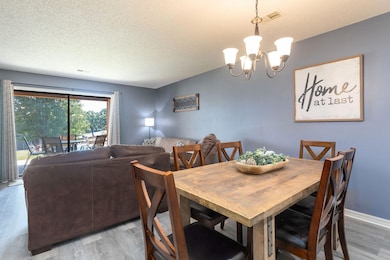 175 Avondale Dr unit 4, Branson, MO 65616 - photo 5