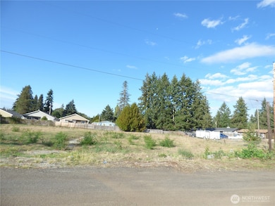 239 170th St E, Spanaway, WA 98387 - photo 5