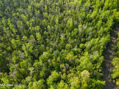 0 Peewee Miller Rd, Lucedale, MS 39452 - photo 3