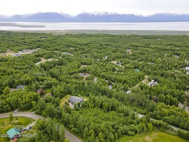 6917 Bogle Bluff Dr, Knik-Fairview, AK 99654 - photo 5