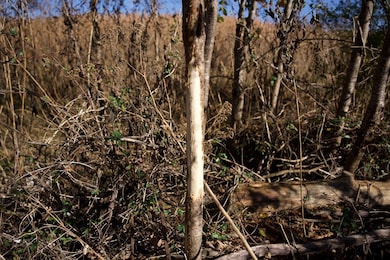 Tract 7 Barlow Rd, Rock Island, TN 38581 - photo 2