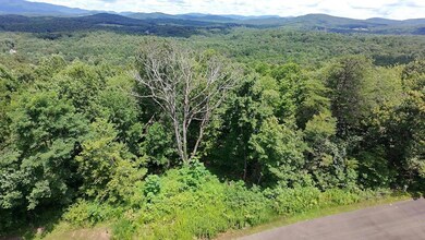 260 Running Bear Ln, Ellijay, GA 30536 - photo 5