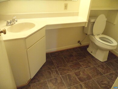 120 Turtle Creek Rd unit 4, Charlottesville, VA 22901 - photo 6