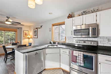 704 Birdie Ln unit 17, Estes Park, CO 80517 - photo 4