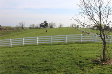 175 Ray Webb Ln, Harrodsburg, KY 40330 - photo 6