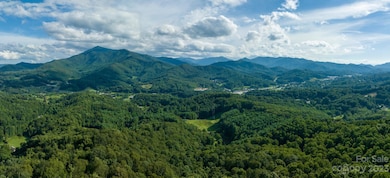 000 Mountain View Rd, Burnsville, NC 28714 - photo 2