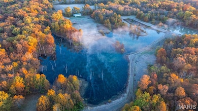 1847 Jaketown Rd, Lagrange Township, IL 62019 - photo 3