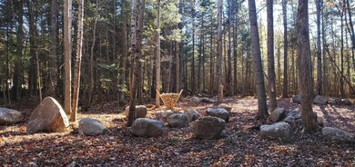 12 Bear Paw Trail unit 1-2, Littleton, NH 03561 - photo 4