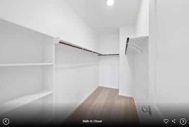 Walk in closet with light carpet