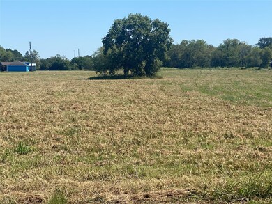 8405 Fm 2977, Fairchilds, TX 77469 - photo 6