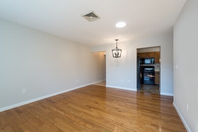 60 E Central St unit 208, Natick, MA 01760 - photo 4