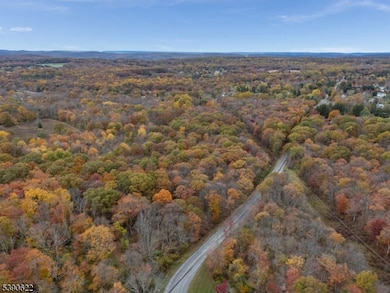 117 Naughright Rd, Long Valley, NJ 07853 - photo 7