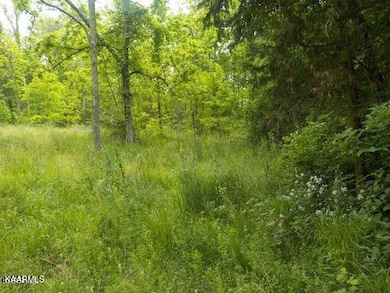 0 Lea Lakes Rd unit 1220944, Blaine, TN 37709 - photo 6