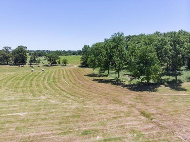 lot17