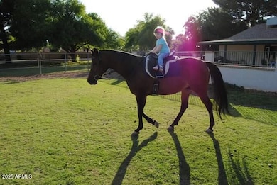 2323 W Harrison St, Chandler, AZ 85224 - photo 3