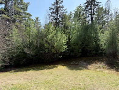 Borders State Forest & River