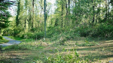 0 Red Hill Heights Rd, North Garden, VA 22959 - photo 4