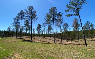 Additional View