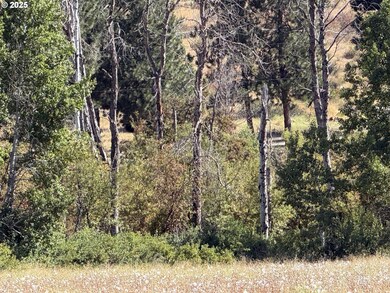 38532 Bennie Ln unit 9, Chiloquin, OR 97624 - photo 6