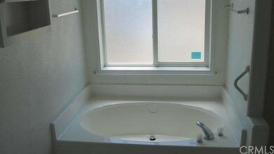 Master bathroom tub