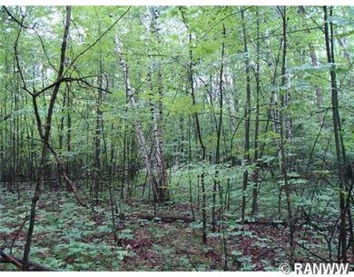 Lot 34 Spotted Fawn Rd, Danbury, WI 54830 - photo 5