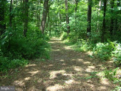 0 Oak Ridge Rd unit VASH121918, Edinburg, VA 22824 - photo 4