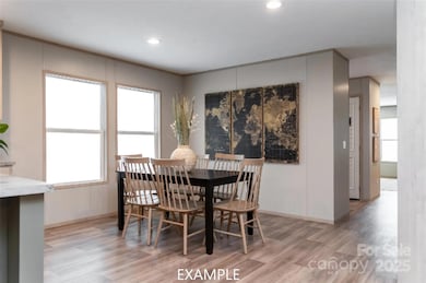 844 Tiney Rd, Ellenboro, NC 28040 - photo 4