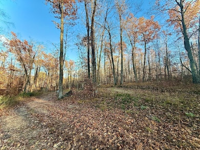 TBD NW Turtle Ln, Walker, MN 56484 - photo 5