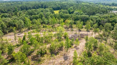 Tract 6 Harmony Mountain Rd, Clinton, AR 72031 - photo 6