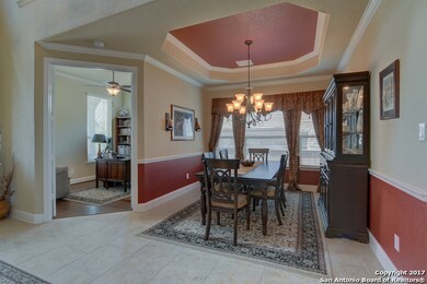 25943 Natal Plum, San Antonio, TX 78261 - photo 2