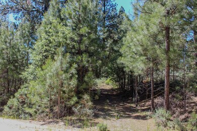 Driveway Into Property