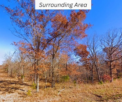 31176 Malcolm Rd, Edwards, MO 65326 - photo 3