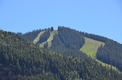 SKI AREA VIEW